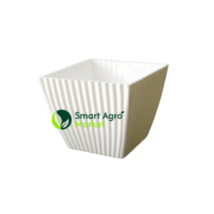 100LKR Mini Plastic Pot | ප්ලාස්ටික් පෝච්චි - White